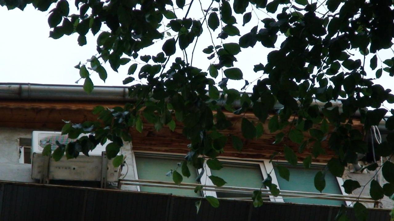 Studio French Embassy, Amzei Historic Center 布加勒斯特 外观 照片